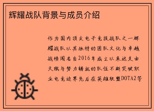 辉耀战队背景与成员介绍