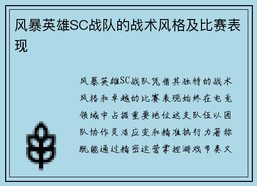 风暴英雄SC战队的战术风格及比赛表现